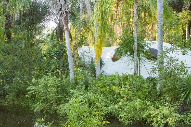 Budoucnost, má láska