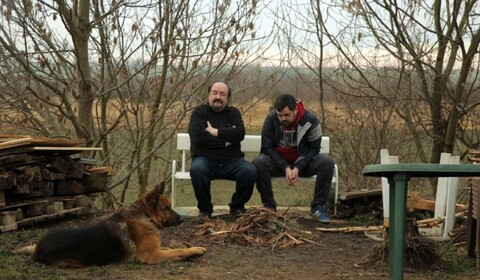 Český žurnál: Dělníci bulváru