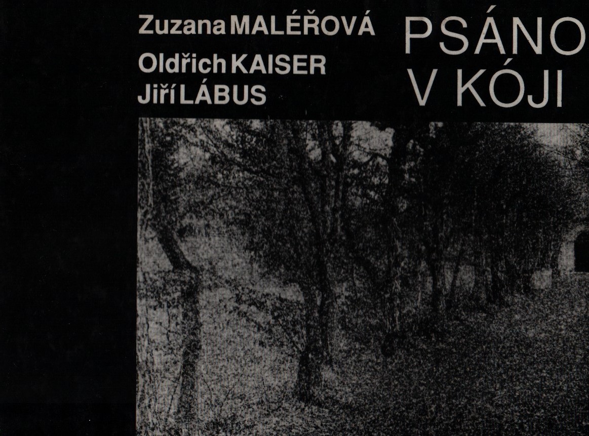 Psáno v kóji