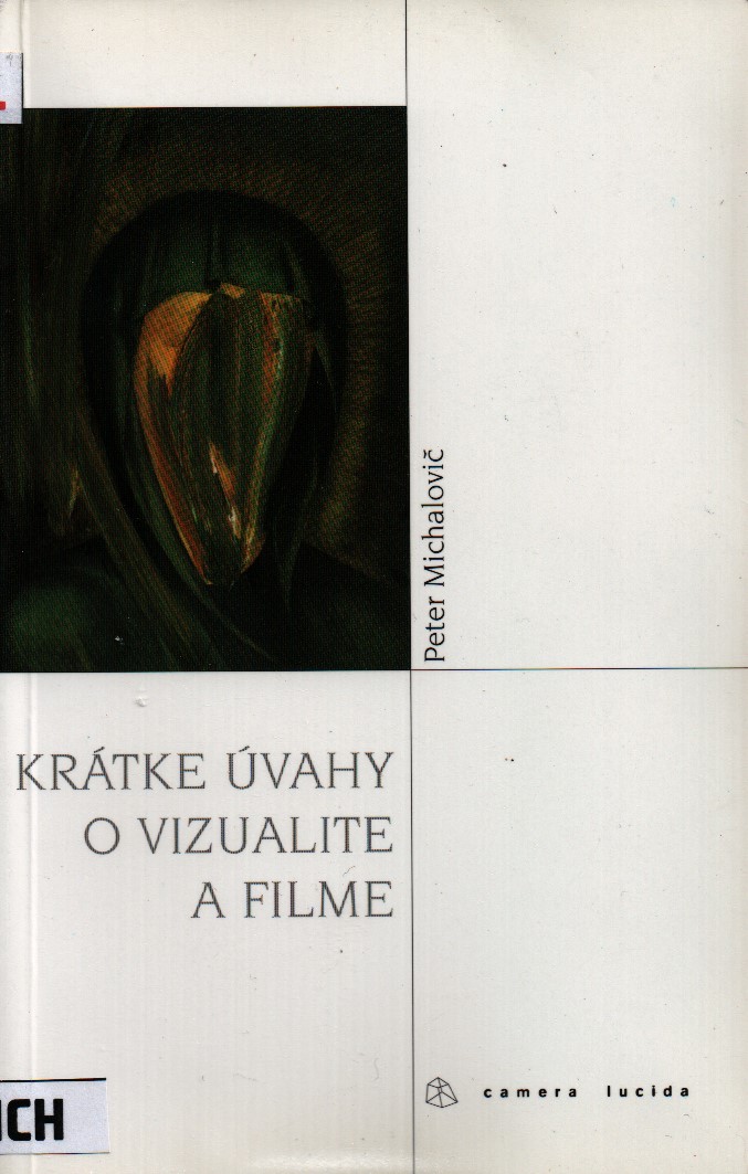 Krátké uvahy o vizualite a filme