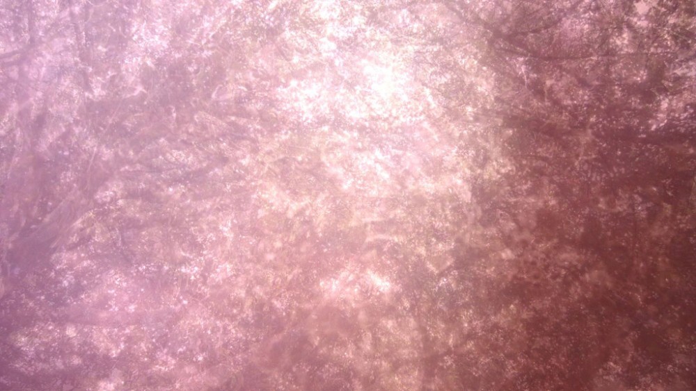 2012