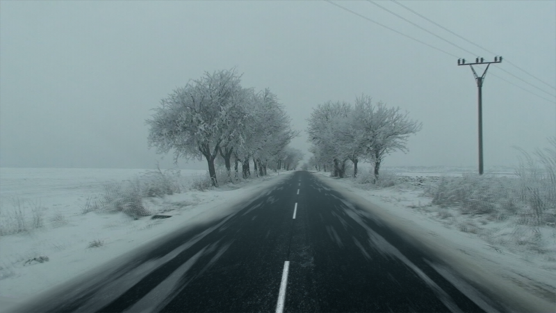 Roadback
