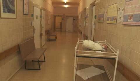 Český žurnál: Pět zrození